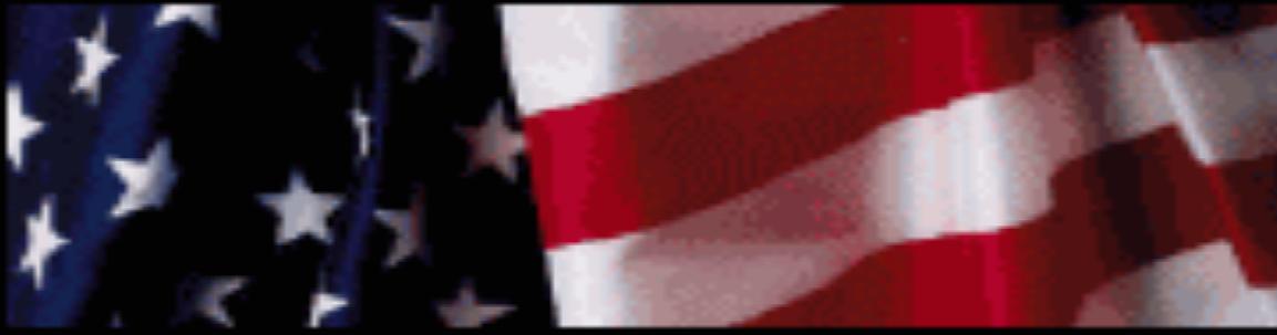 flag banner.jpg