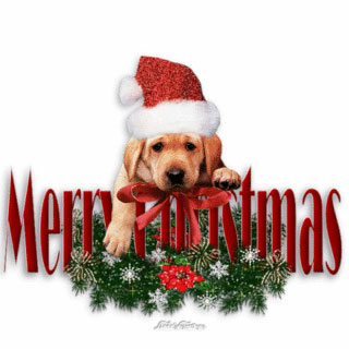 aniMerryChristmasdog.jpg